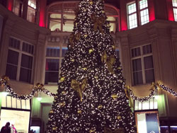 leipzig-christmas-tree