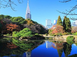 新宿御苑 Shinjuku Gyoen National Garden