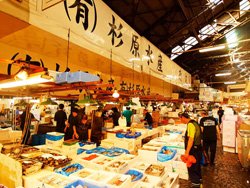 築地市場 Tsujuki fish market