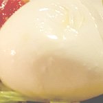 buffalo mozzarella