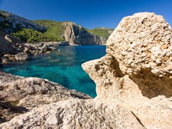 Wild nature in Ibiza