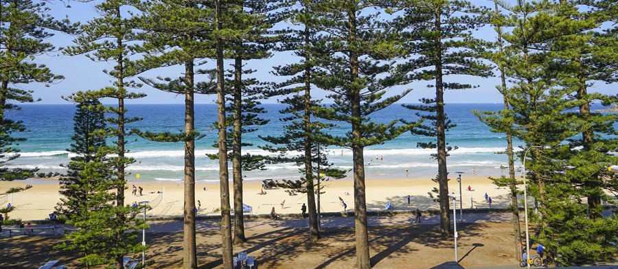 Manly beach near Sydney