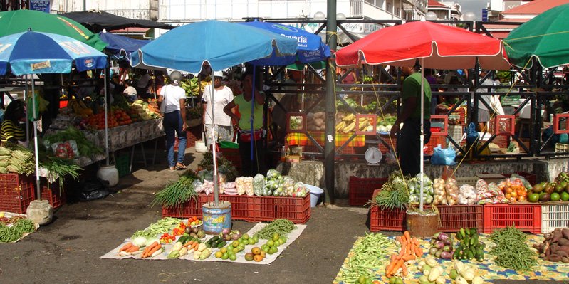 Exploring the local markets