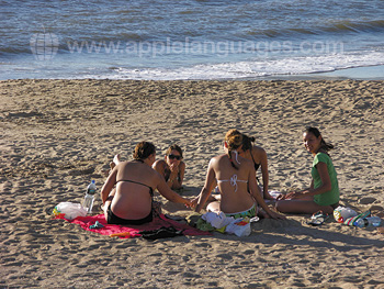 Students relaxing at the beach