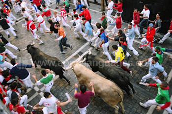 The famous bull run
