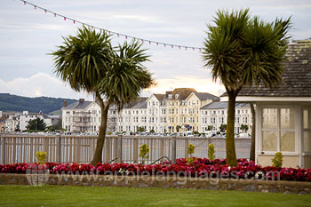 The beach front