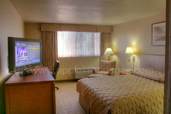 Room in hotel accommodation
