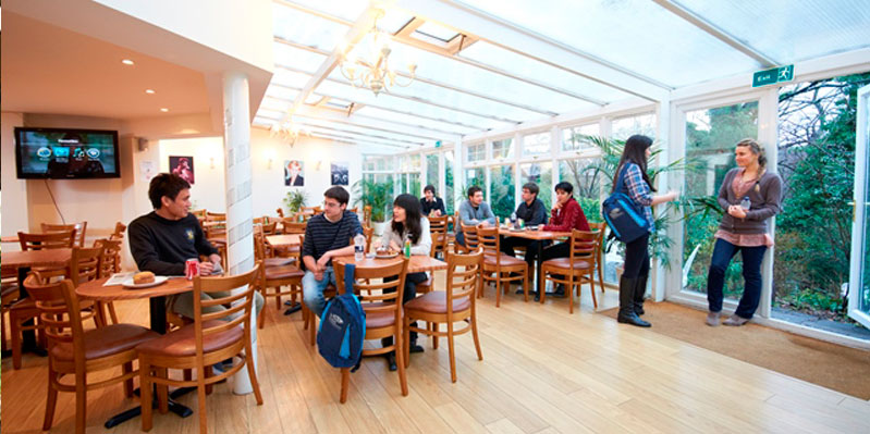 Breaktime in the conservatory