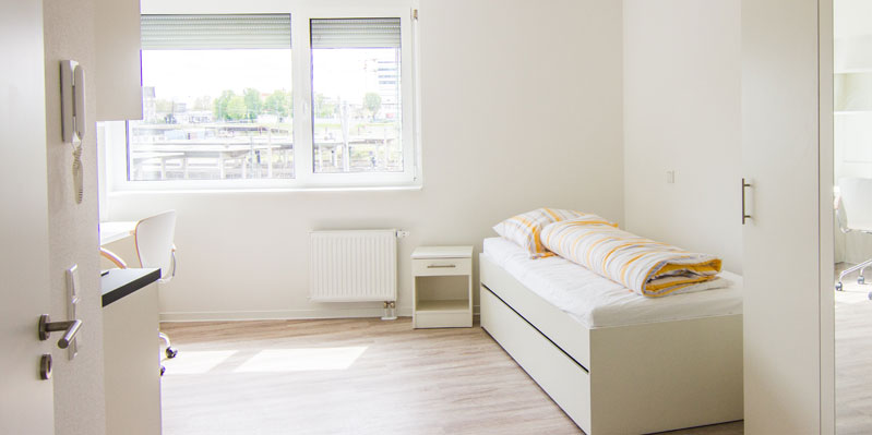Shared Apartment Plus