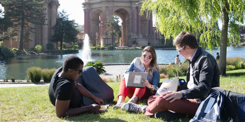Studying in the park