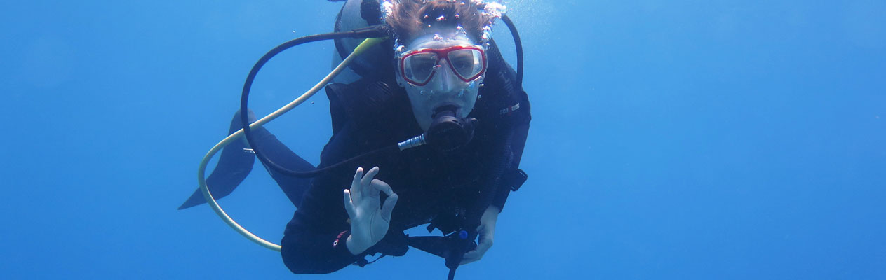 Diving in Sosua