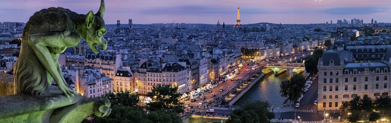 Gargoyle overlooking Paris at night