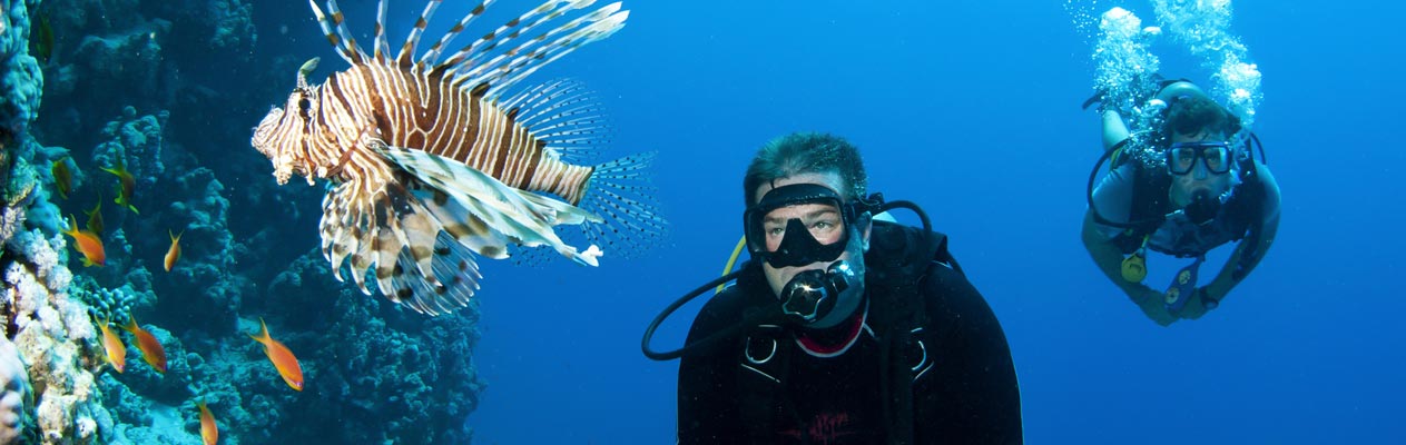 Diving Diving