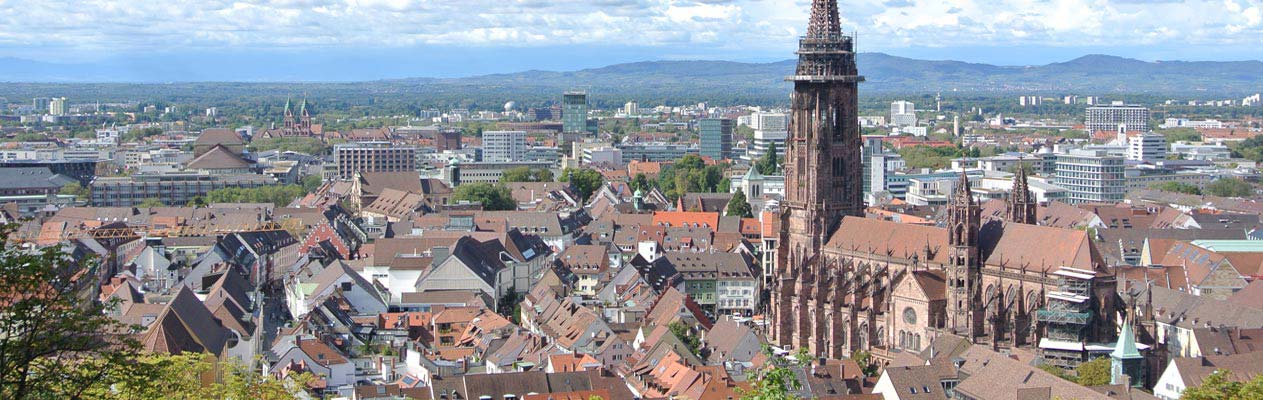 Freiburg rooftops and cathedral, Germany