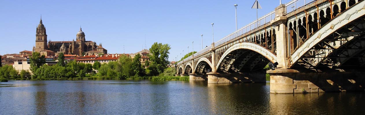 New Cathedral of Salamanca and Enrique Estevan Bridge