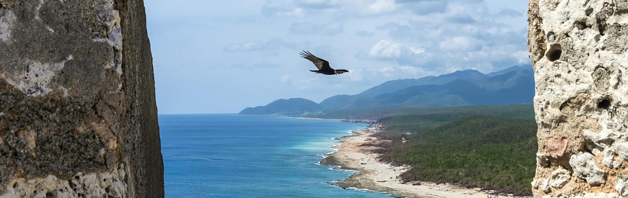 Bird soaring over Santiago de Cuba