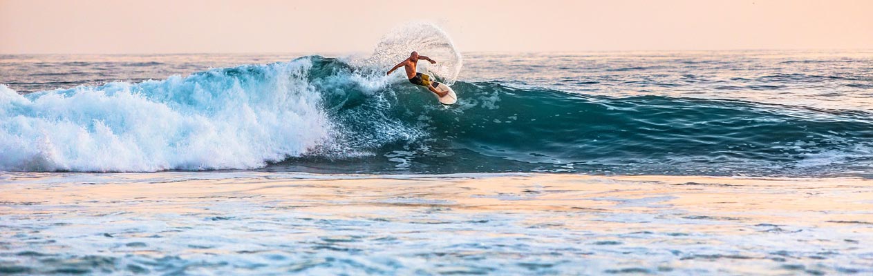 Students surfing